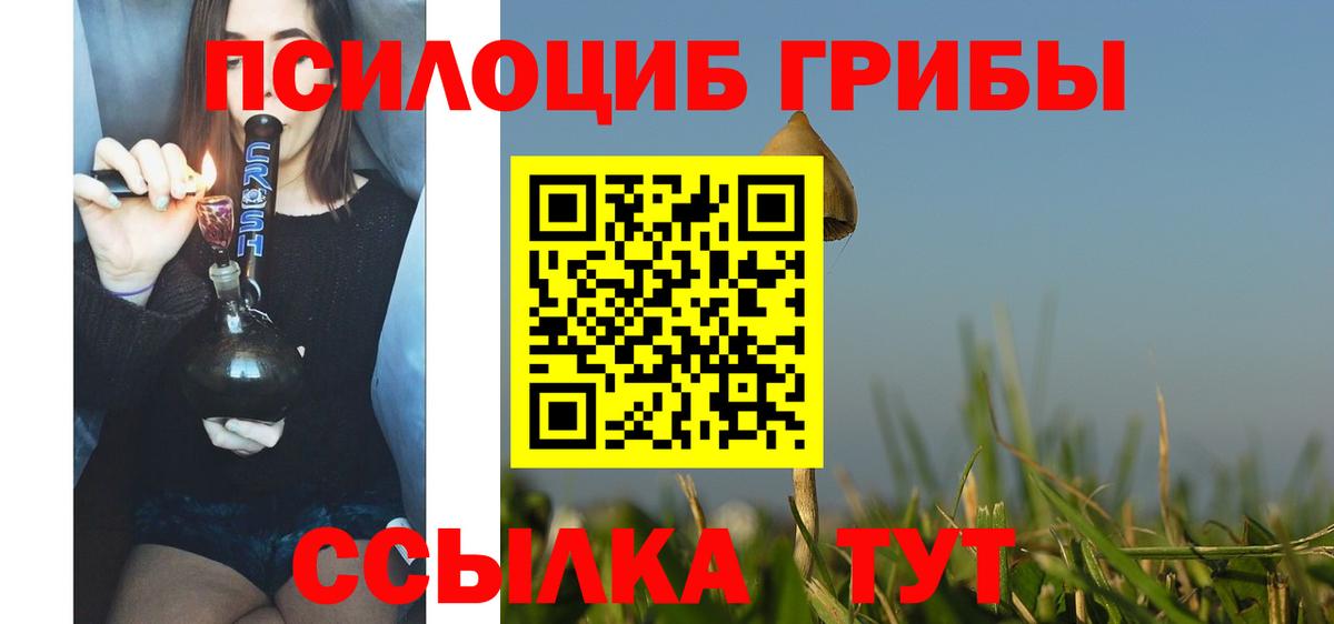 Сокол  Галлюциногенные грибы Magic Shrooms  наркошоп  Вход с VPN 